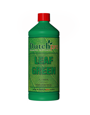 dutch pro leaf green