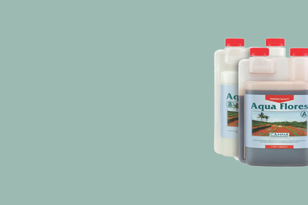 Essentials category image
